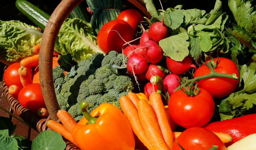 svenhilker-vegetables-3386212_1920